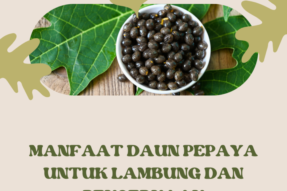 Manfaat Daun Pepaya Untuk Lambung dan Pencernaan