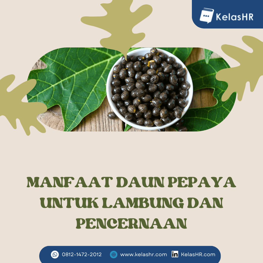 Manfaat Daun Pepaya Untuk Lambung dan Pencernaan